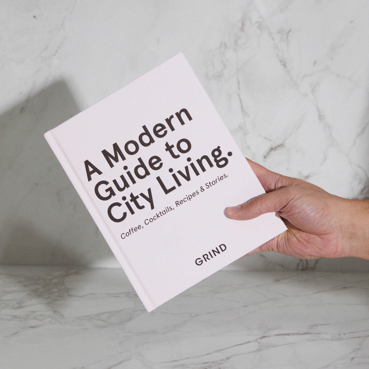 Book Modern Guide to City Living
